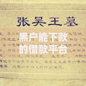 黑户能下款的借款平台有哪些靠谱选择？深度解析安全借贷渠道