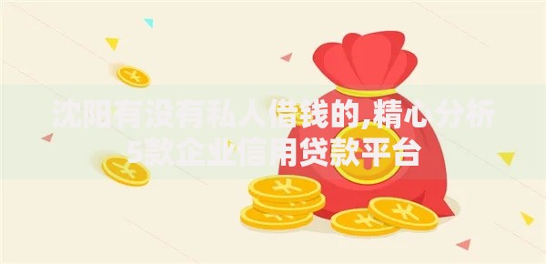 沈阳有没有私人借钱的,精心分析5款企业信用贷款平台