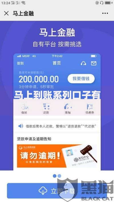 马上到账系列口子有哪些APP？精选高通过率平台推荐