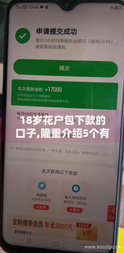 18岁花户包下款的口子,隆重介绍5个有没有正规的贷款平台