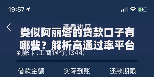 类似阿丽塔的贷款口子有哪些？解析高通过率平台的筛选逻辑
