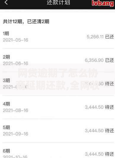 网贷逾期了怎么协商延期还款,全网收集5个网贷平台容易通过