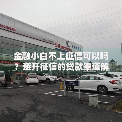 金融小白不上征信可以吗？避开征信的贷款渠道解析