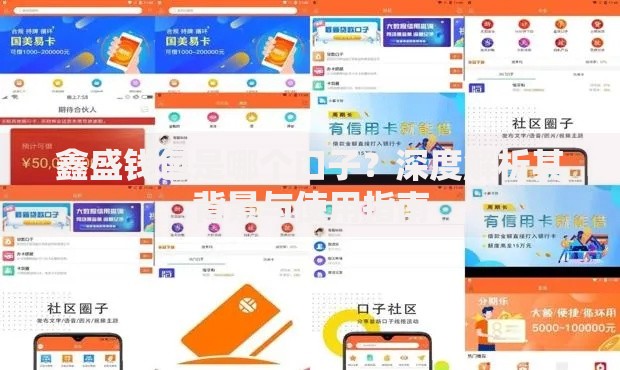 鑫盛钱包是哪个口子？深度解析其背景与使用指南