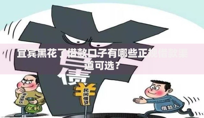 宜宾黑花了借款口子有哪些正规借款渠道可选？