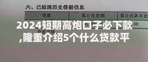 2024短期高炮口子必下款,隆重介绍5个什么贷款平台不查征信