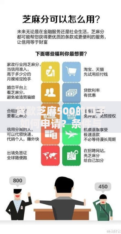 贷款芝麻500的口子如何申请？条件与流程全解析