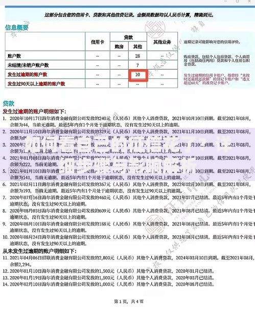 如何看自己的征信花了？详细步骤与影响解析