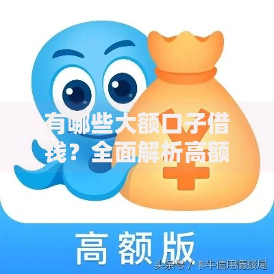 有哪些大额口子借钱？全面解析高额度贷款渠道