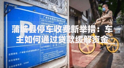 蒲城县停车收费新举措：车主如何通过贷款缓解资金压力？