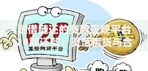 随借随还的贷款正规平台24期还款：灵活借贷与合规操作指南