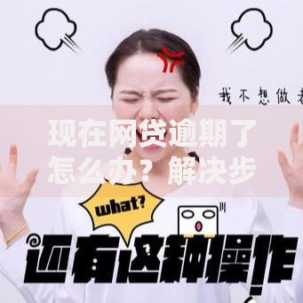 现在网贷逾期了怎么办？解决步骤与应对策略解析