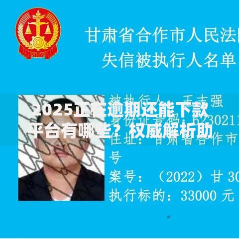 2025正在逾期还能下款平台有哪些？权威解析助你快速申请