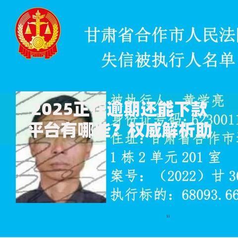 2025正在逾期还能下款平台有哪些？权威解析助你快速申请