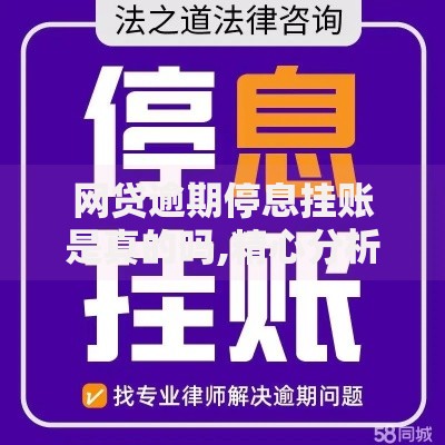 网贷逾期停息挂账是真的吗,精心分析5款不看征信分期时间长的贷款平台