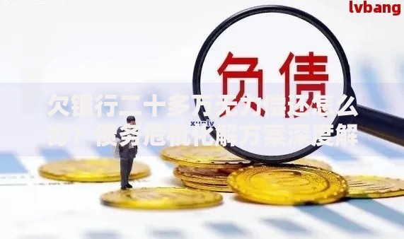 欠银行二十多万无力偿还怎么办？债务危机化解方案深度解析