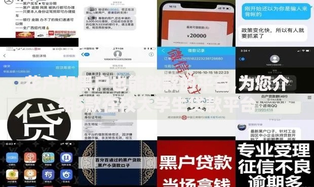 花户和黑户也能放款的平台,为您介绍5款在校大学生贷款平台