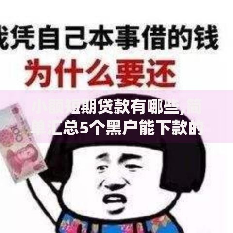 小额短期贷款有哪些,简单汇总5个黑户能下款的app口子下载