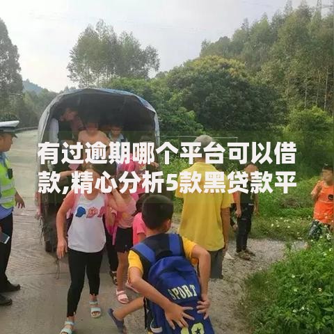 有过逾期哪个平台可以借款,精心分析5款黑贷款平台