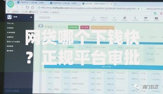 网贷哪个下钱快?正规平台审批到账全解析 网贷哪个下钱快?正规平台审批到账全解析