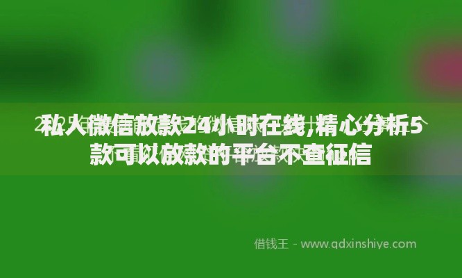 私人微信放款24小时在线,精心分析5款可以放款的平台不查征信