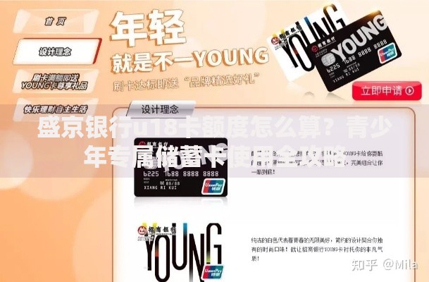 盛京银行u18卡额度怎么算？青少年专属储蓄卡使用全攻略