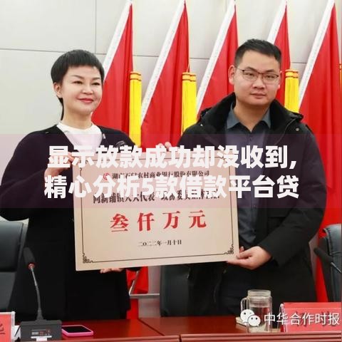 显示放款成功却没收到,精心分析5款借款平台贷款额度高