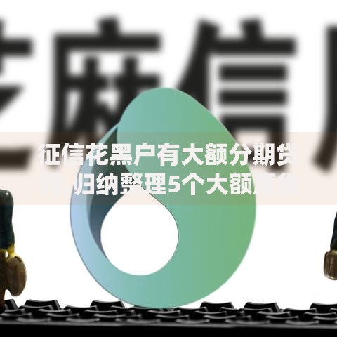 征信花黑户有大额分期贷吗,归纳整理5个大额度贷款平台