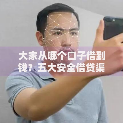 大家从哪个口子借到钱？五大安全借贷渠道深度解析
