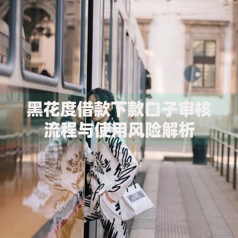 黑花度借款下款口子审核流程与使用风险解析