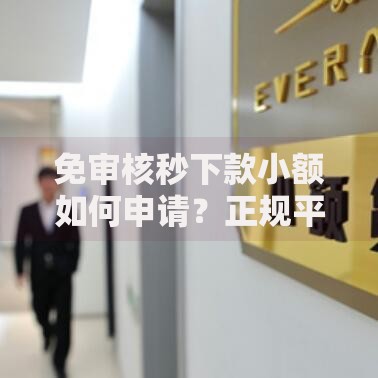 免审核秒下款小额如何申请？正规平台选择攻略