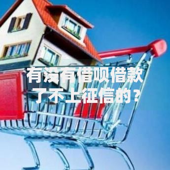 有没有借呗借款了不上征信的？深度解析征信影响机制