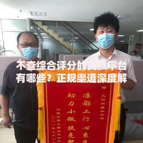 小额贷款在线咨询：权威解答与申请全流程解析