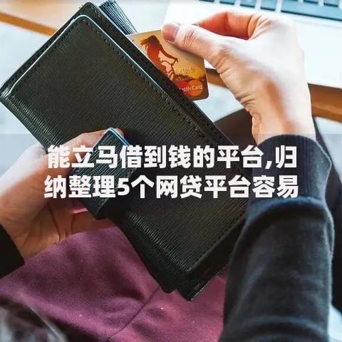 能立马借到钱的平台,归纳整理5个网贷平台容易借钱