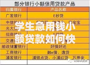 学生急用钱小额贷款如何快速申请？安全渠道全解析
