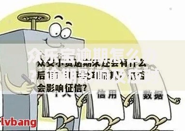 众乐宝逾期怎么办？逾期影响及应对措施解析