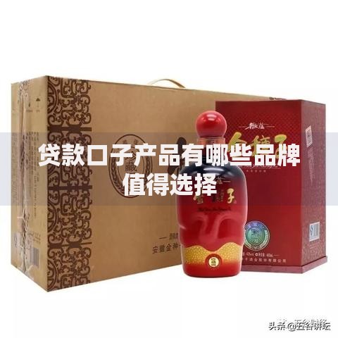 贷款口子产品有哪些品牌值得选择