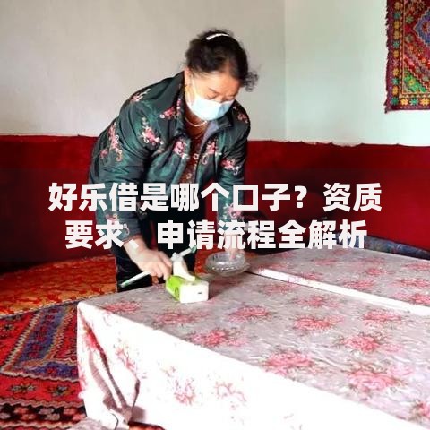 好乐借是哪个口子？资质要求、申请流程全解析