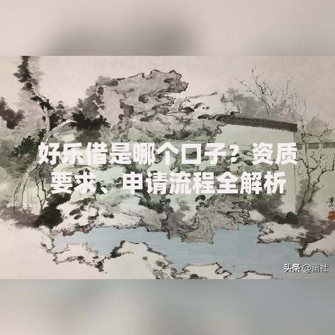 好乐借是哪个口子？资质要求、申请流程全解析
