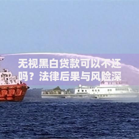 无视黑白贷款可以不还吗？法律后果与风险深度解析