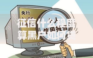 征信什么程度算黑户如何贷款,精心分析5款借钱平台利息最低