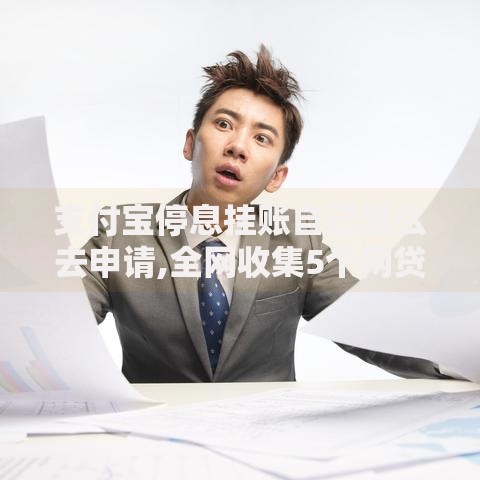 支付宝停息挂账自己怎么去申请,全网收集5个网贷平台比较容易通过呢