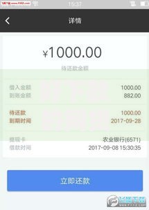好下款的网贷有哪些口子？精选高通过率平台推荐