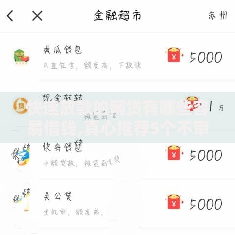 快速放款的网贷有哪些容易借钱,真心推荐5个不审核秒下款的高炮口子
