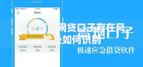 哪些高炮网贷口子存在风险及如何识别