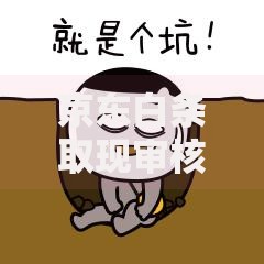 京东白条取现审核未通过什么意思？原因解析与解决办法