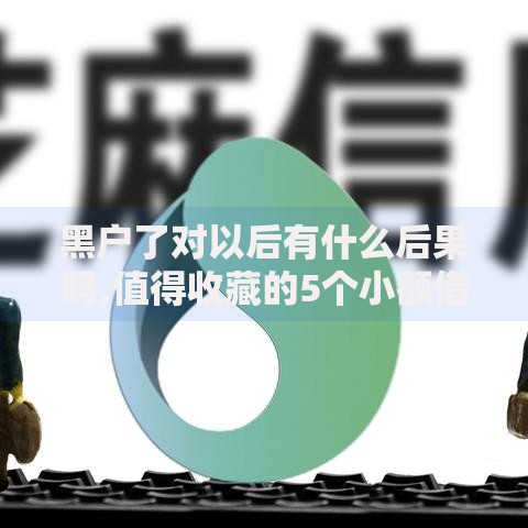 黑户了对以后有什么后果吗,值得收藏的5个小额借款平台正规利息低