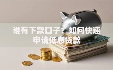 谁有下款口子？如何快速申请低息贷款