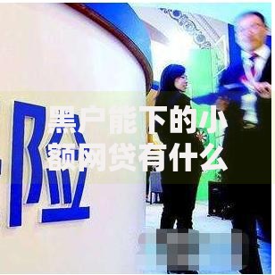 黑户能下的小额网贷有什么,精心分析5款贷款平台不查征信