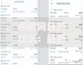 点融网目前状况：最新动态与投资者应对策略分析